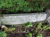 image of grave number 790753